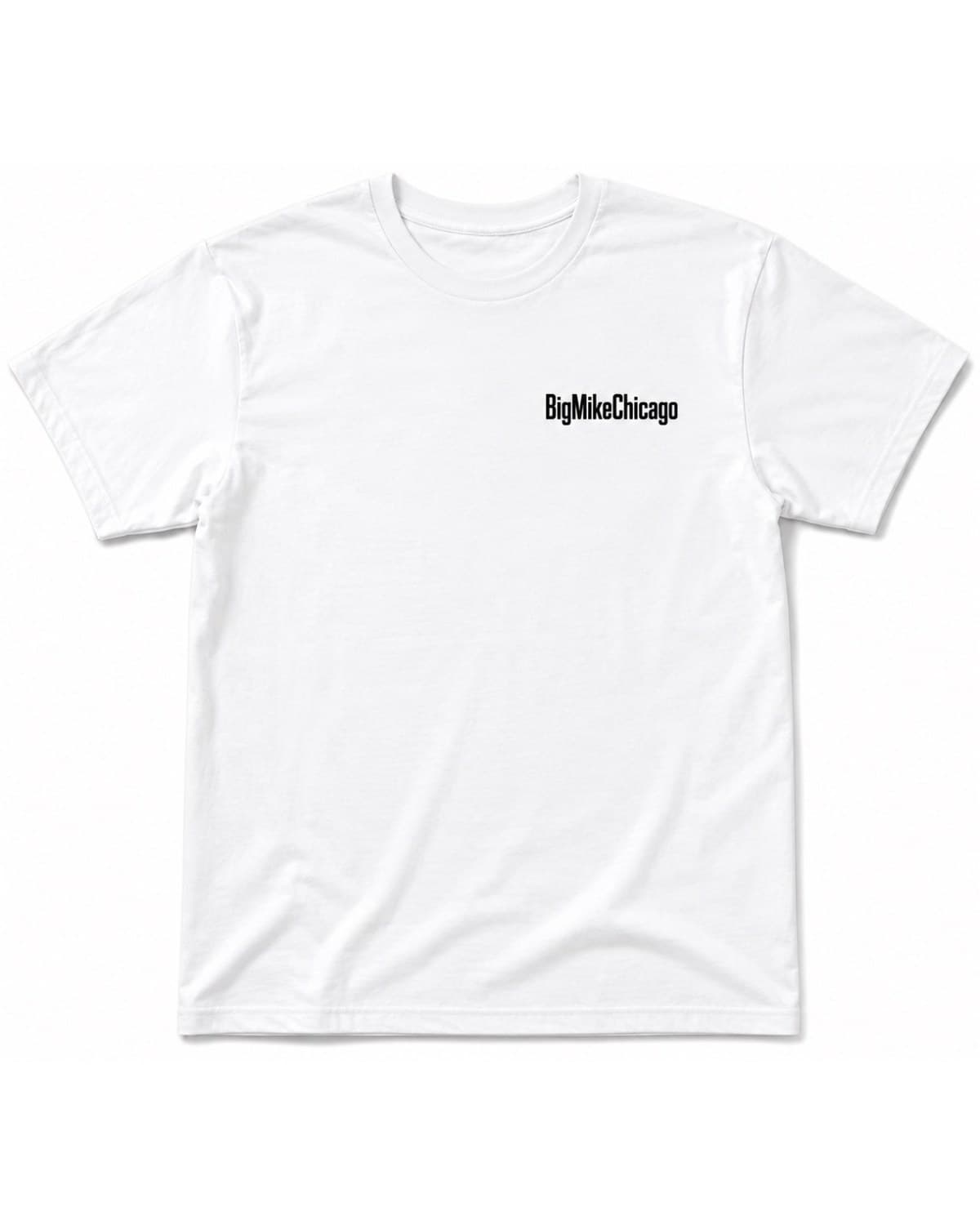 Chicago Seal Tee, view 2